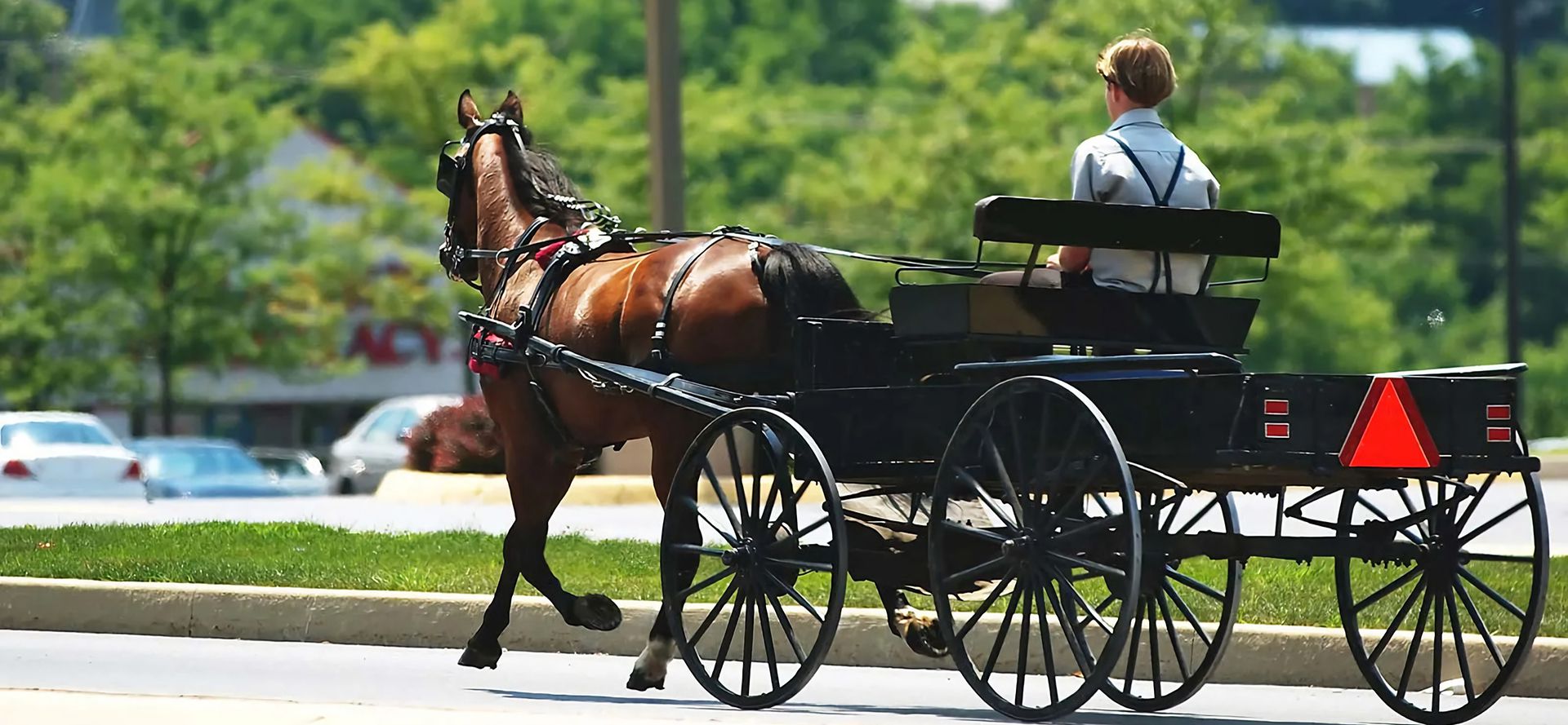 Amish single man in a carriage.