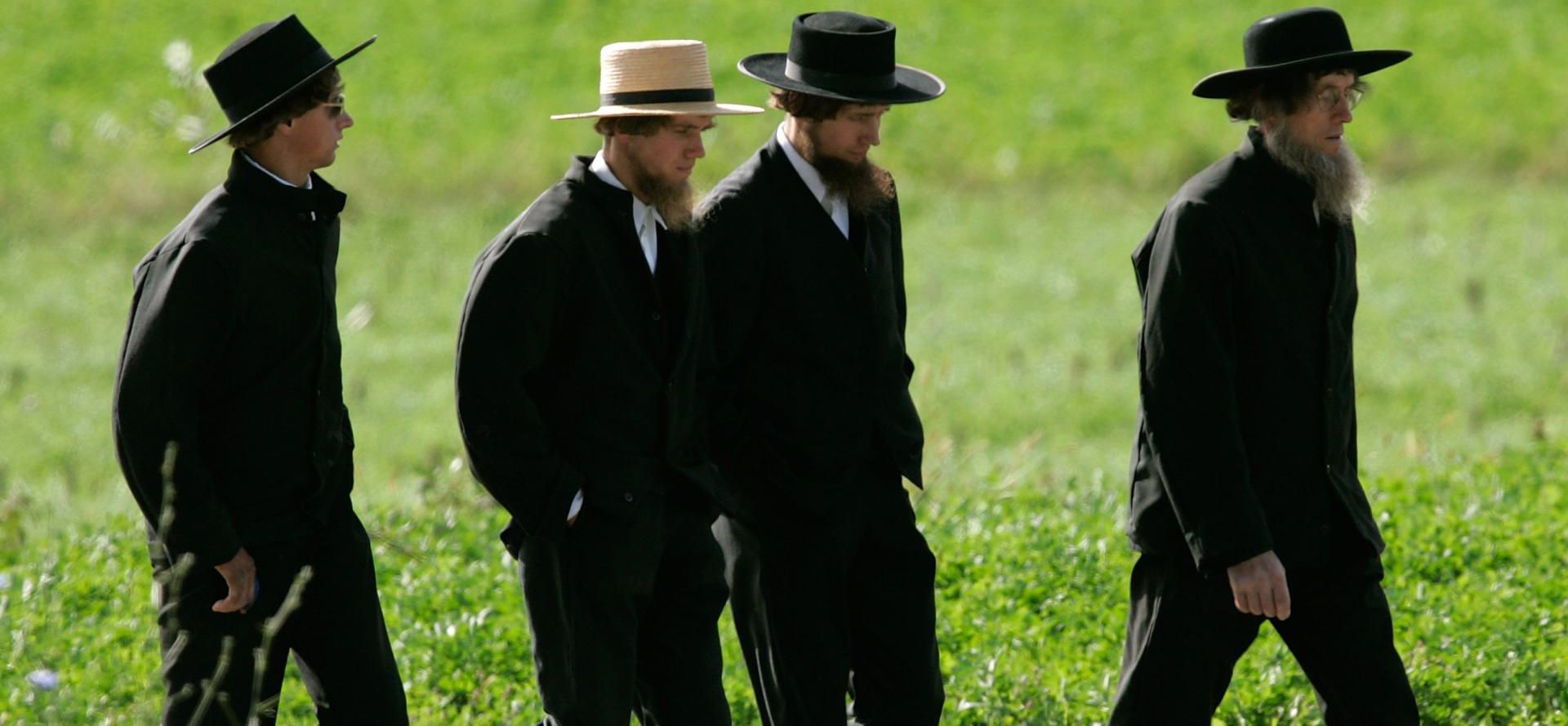 Amish singles men in the field.