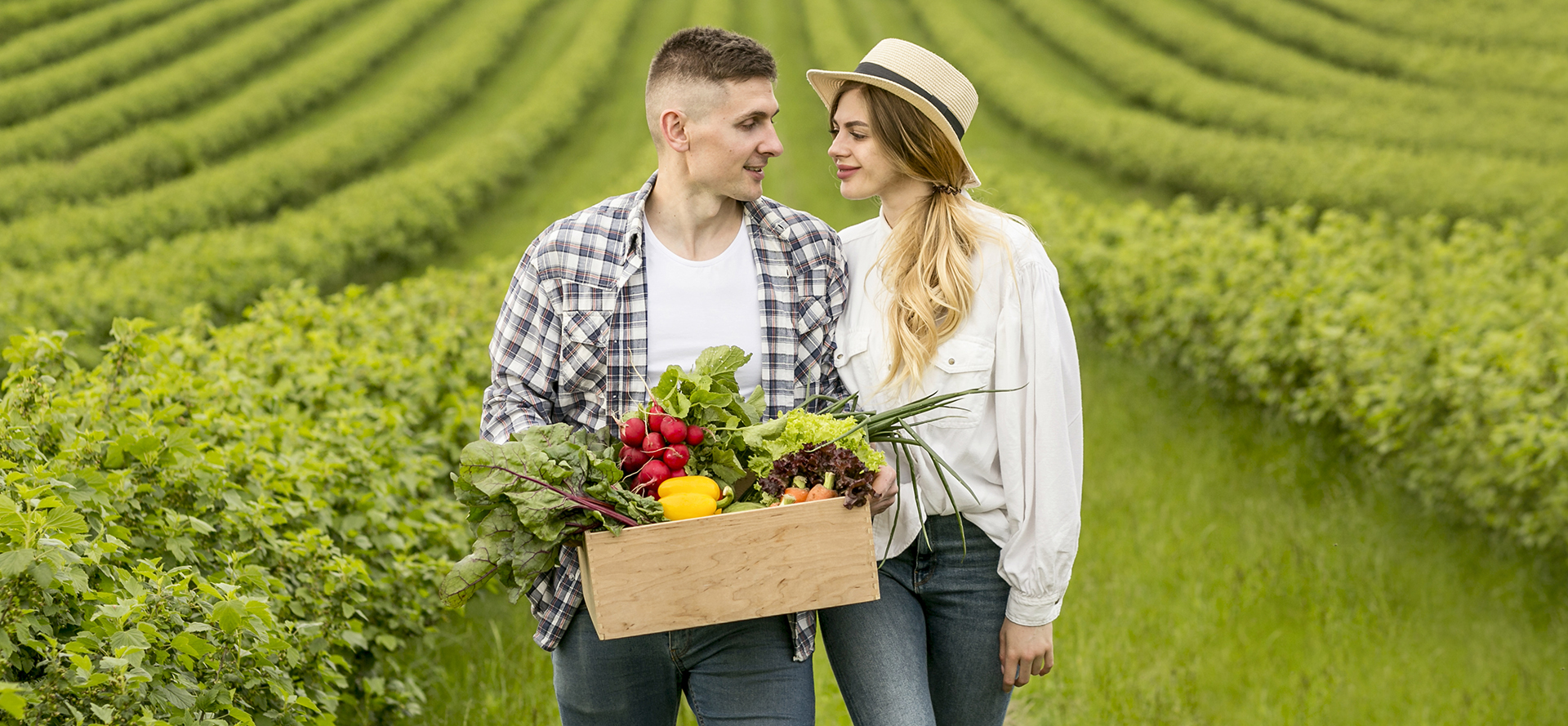 Couple of farmers on the field holding a box of vegetables.