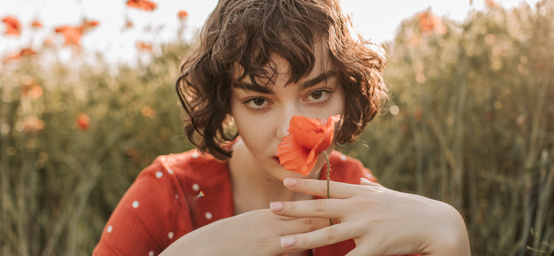 The girl holds a poppy in the background of a poppy field.